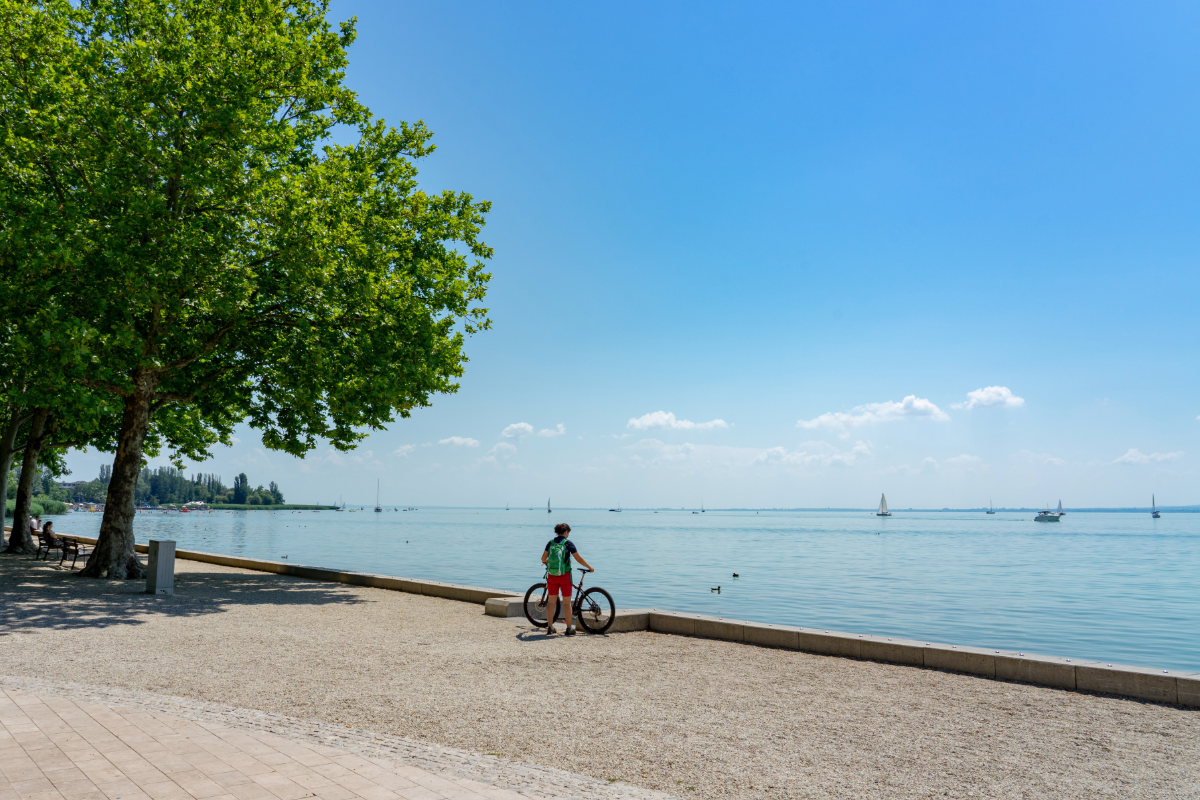 balaton-rower