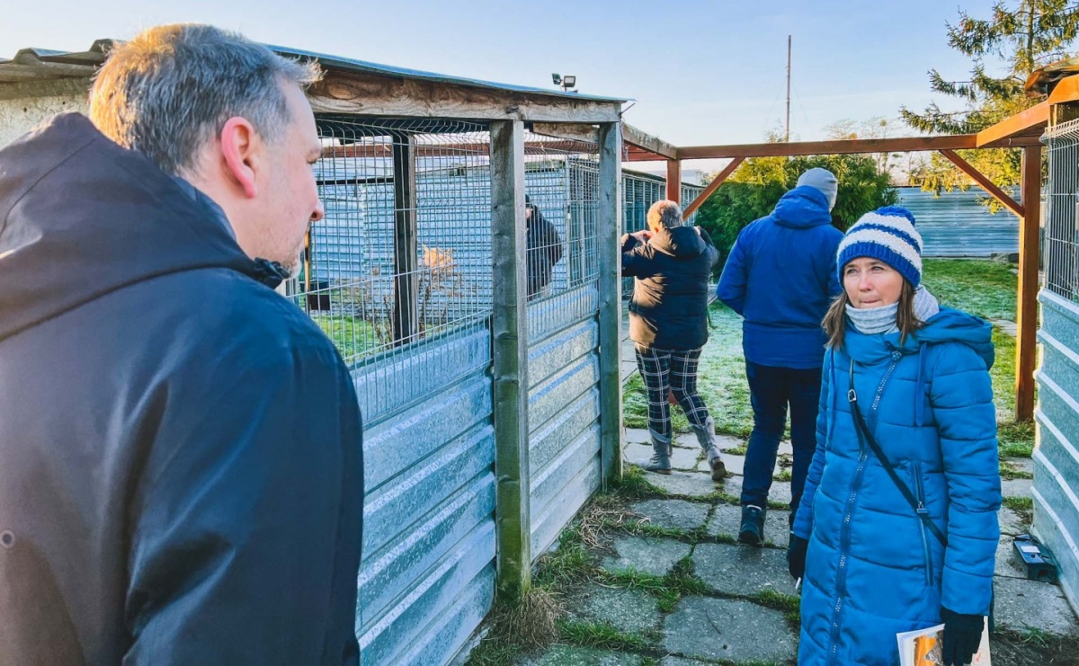 Niepokoj Ce Wie Ci Ze Schroniska Radni Pisz Do Prezydenta